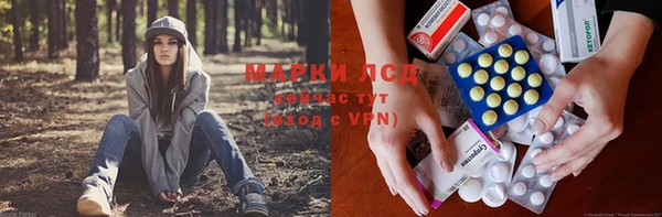 spice Баксан