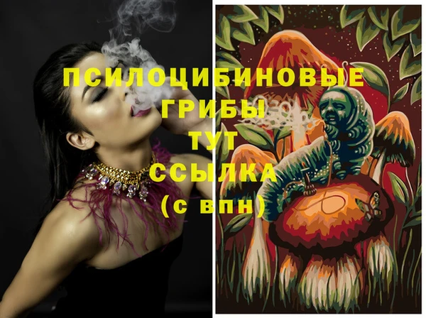 spice Баксан