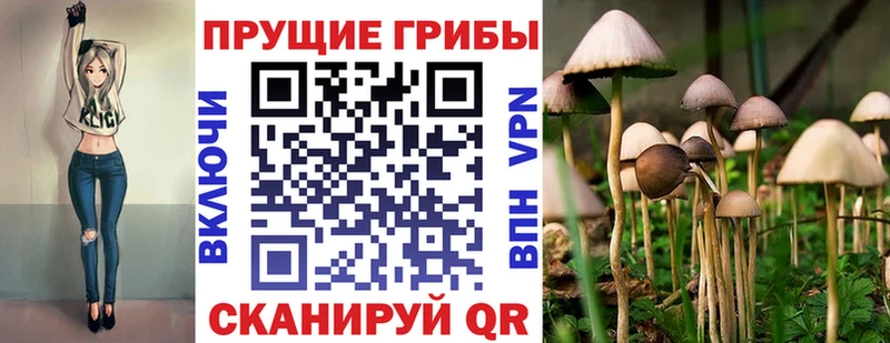Галлюциногенные грибы мухоморы  Лосино-Петровский 