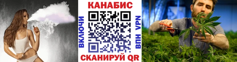 omg как войти  Лосино-Петровский  Канабис ГИДРОПОН 